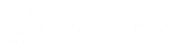 Steam